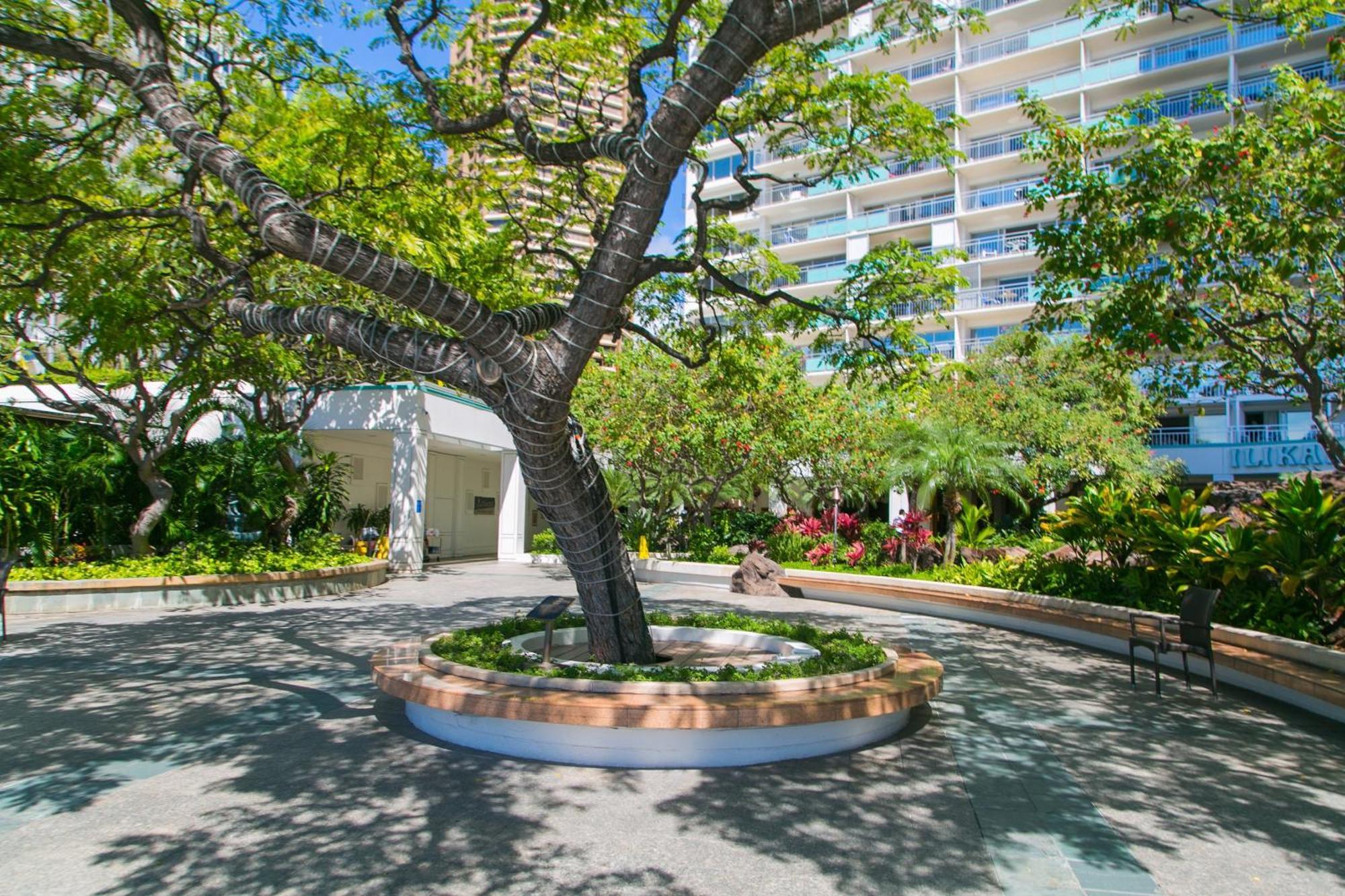Ilikai Tower 1127 Yacht Harbor View 1Br Apartment Honolulu Exterior photo